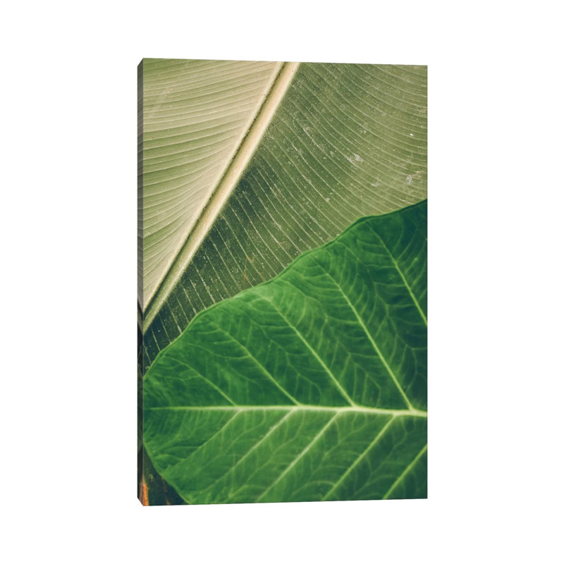 Leaves I by Olivia Joy StClaire - Wrapped Canvas Print, 20.32 cm H x 30.48 cm W