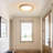 Round LED Flush Mount -19.68 Inch-655534277