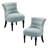 24.4 " Wide Tufted Chenille Accent Side Chair (Set of 2)-206381006