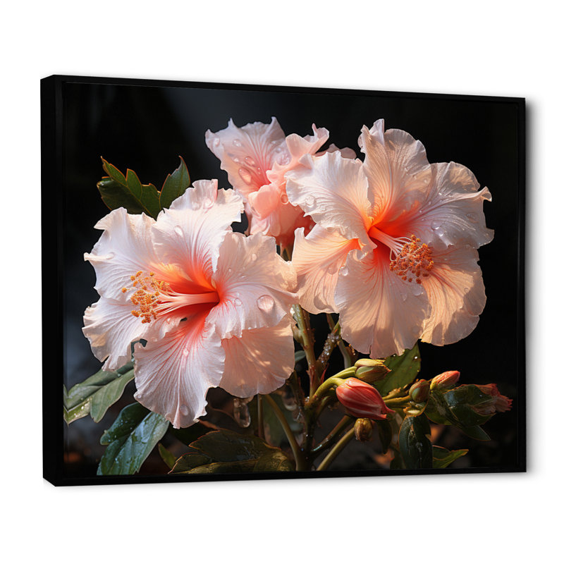 Hibiscus Romantic Impression I - Floral Canvas Wall Art, H 12 po x l 20 po x P 1 po, Cadre flottant noir