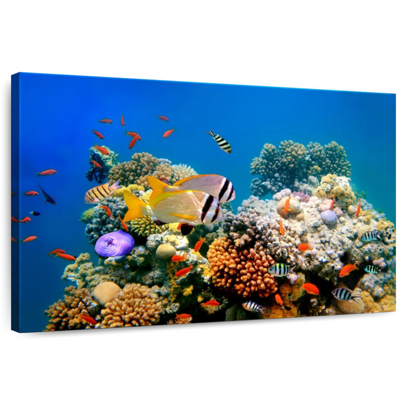 Aletra, poisson tropical et récif de corail, H 8 po x l 12 po