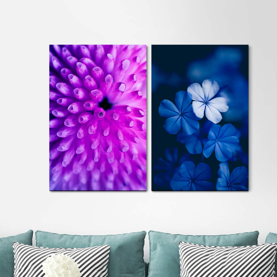 2-tlg. Leinwandbilder-Set - Fotografie „Coral Brook Blossom Underwater Blue Violet”