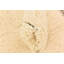 Tapis crème Oliver