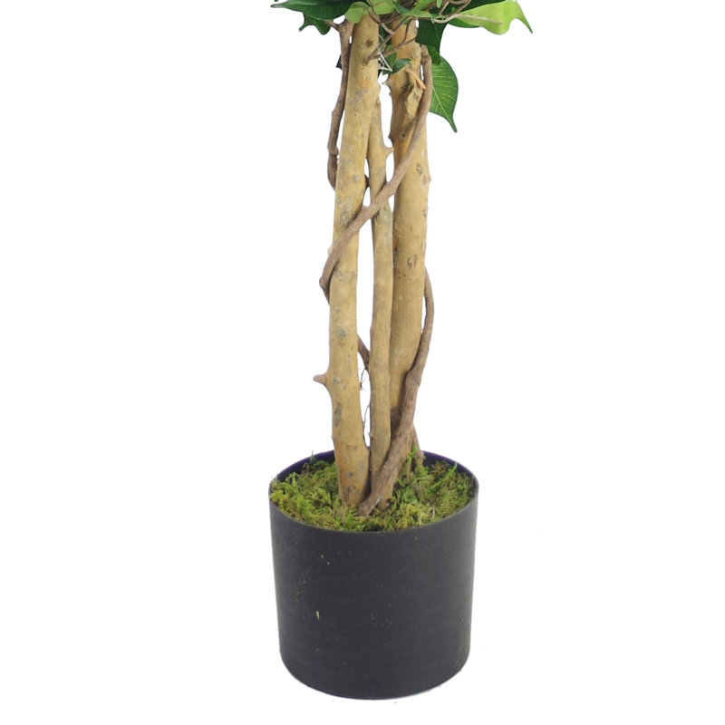 Anjeli 120cm Faux Foliage Plant in Pot