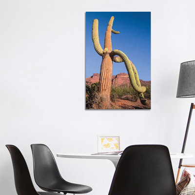 Saguaro and Ajo Mountains, Organ Pipe Cactus National Monument 1 Piece Wrapped Canvas Wall Art