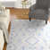 Micro-Loop Hand Tufted Wool Southwestern Rug