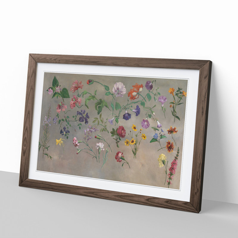 Studies of Flowers Vol.1 by Jacques-Laurent Agasse - Picture Frame Painting, Walnut Framed, 36cm H x 48cm W x 2cm D
