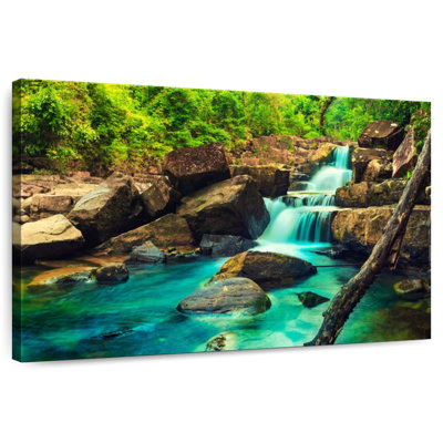 Cascade d'Alvord dans la jungle