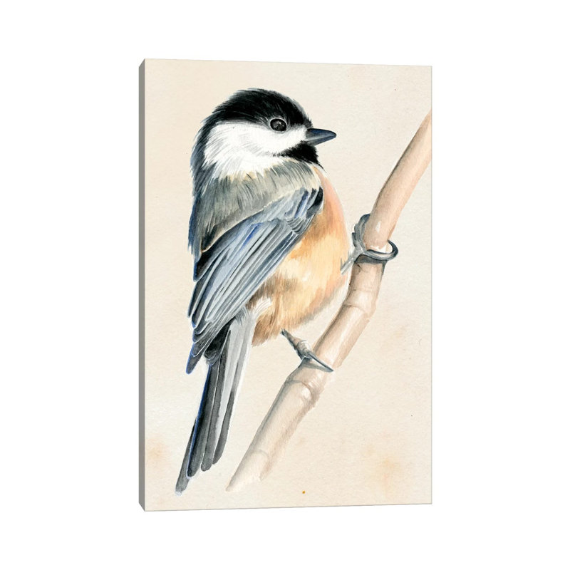 Little Bird On Branch II by Jennifer Paxton Parker - Wrapped Canvas Print, 20.32 cm H x 30.48 cm W