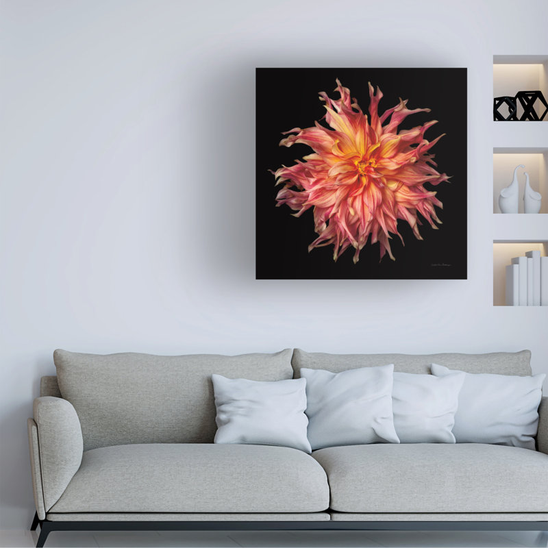 Œuvre d'art sur toile bolognaise, bol, H 14 po x l 14 po, Rouge-orange