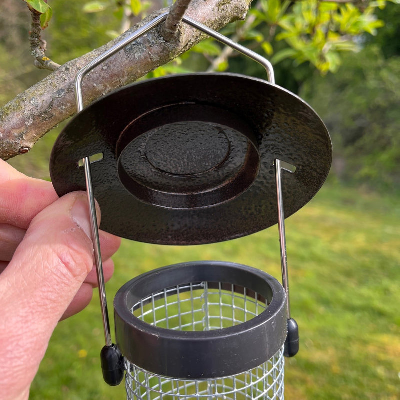 Ginevra  Metal Hanging Tube Bird Feeder