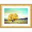 «First Tree To Turn» par Annie Bailey, reproduction d'art encadrée sur bois-945016659