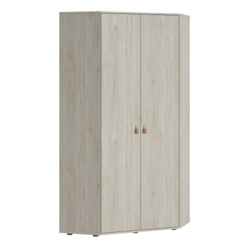 Aroon 2 Door Solid Wood Wardrobe