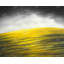Napperon Yellow Hill