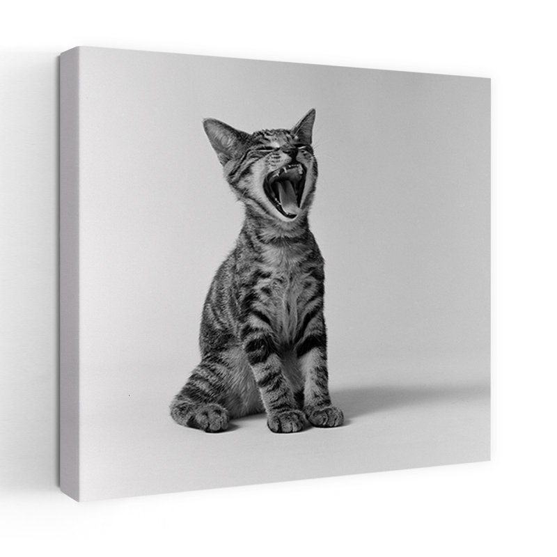 Art de chat rétro des années 1960, H 18 po x l 18 po