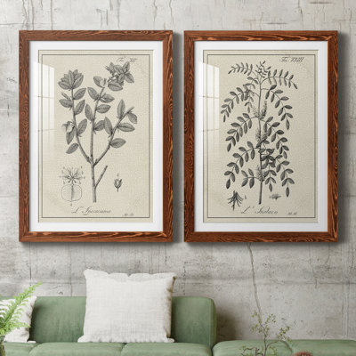 Antique botanique noir et blanc antique - ensemble de 2 reproductions d'art