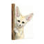 Animaux Fennec Fox furtivement derrière un panneau de bois-415623308