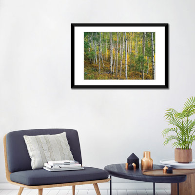 «Quake Aspen Forest, Colorado I», reproduction de photo sur toile