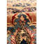 Antique One-of-a-Kind 11'5" X 21'6" Area Rug