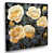 Toile tendue