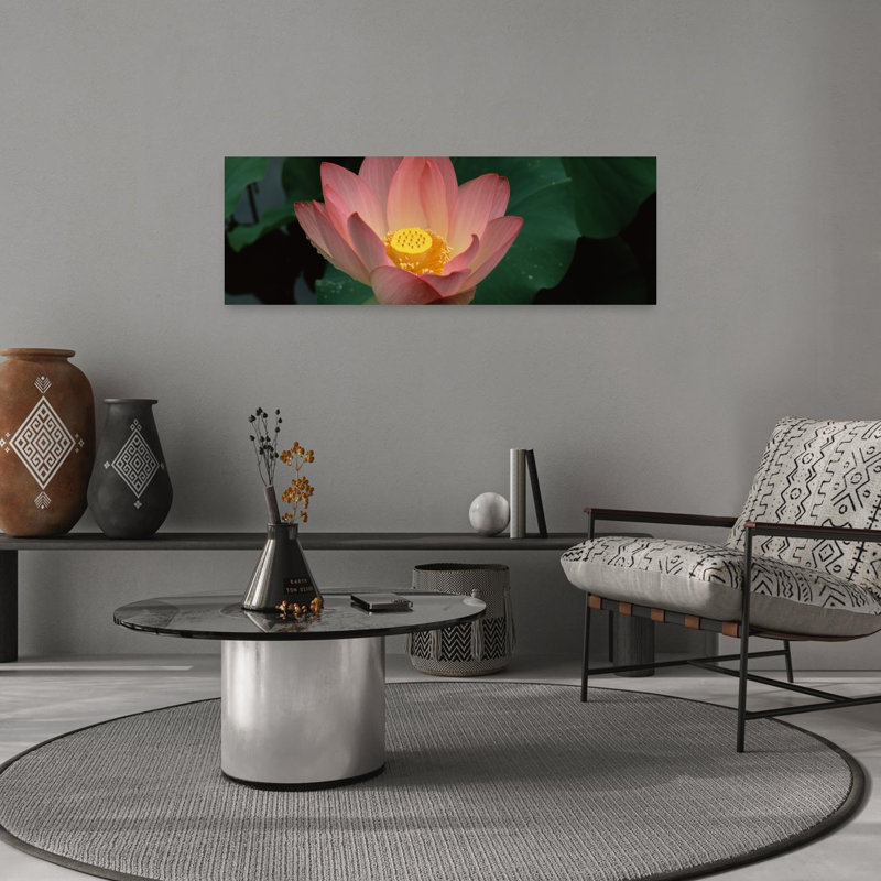 Lotus Blooming In A Pond by Terry Thompson - Wrapped Canvas Panoramic Print, 30.48 cm H x 91.44 cm W