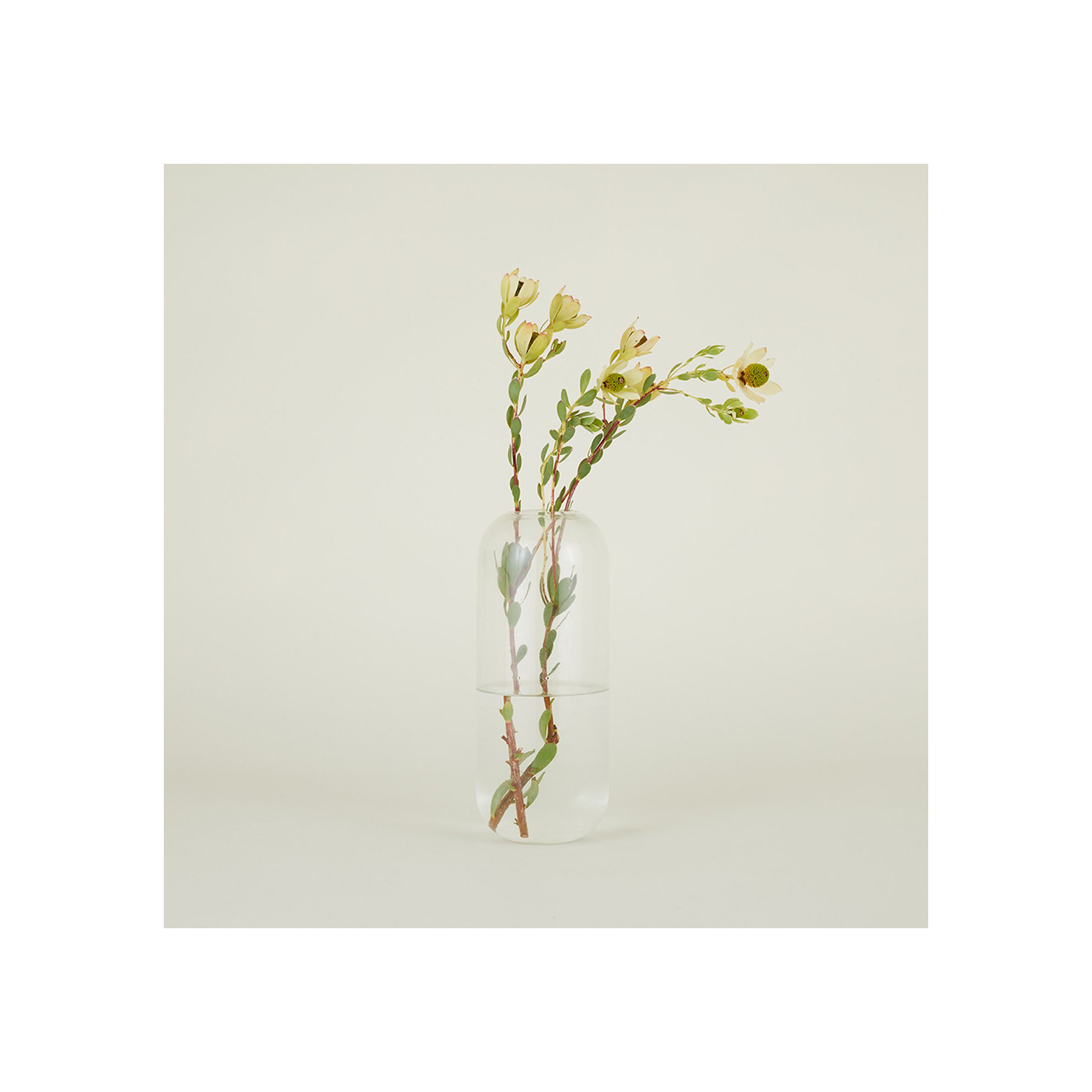Aurora Handmade Glass Table Vase, 12.5" H x 5" W x 5" D, Clear