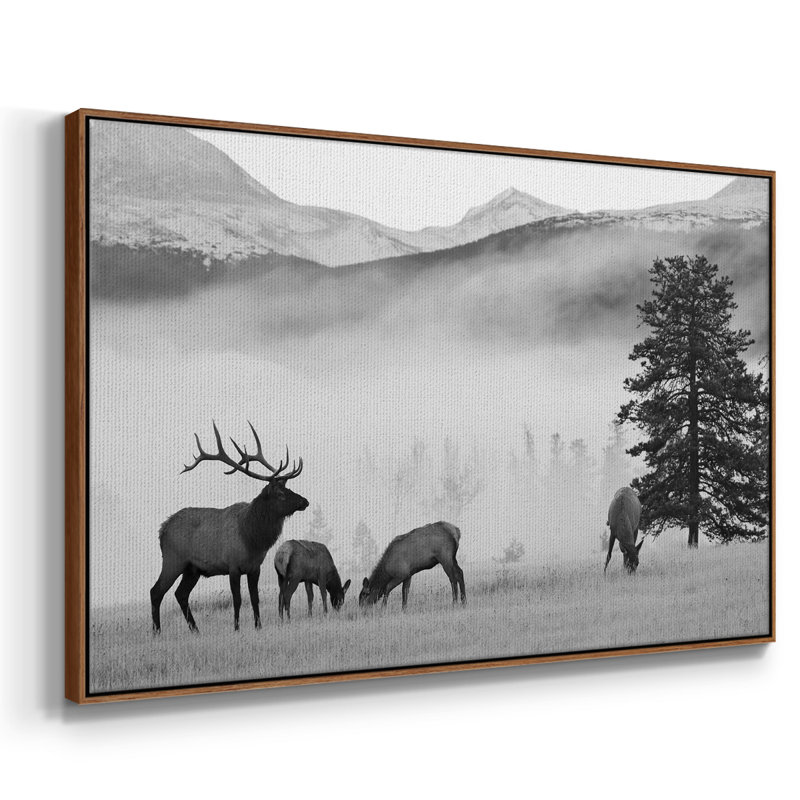 " Mountain Elk ", Walnut, 25" H x 37" W x 2" D