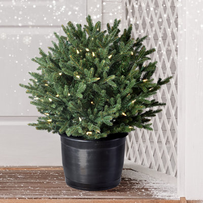 24'' Faux Fir Tree in Pot
