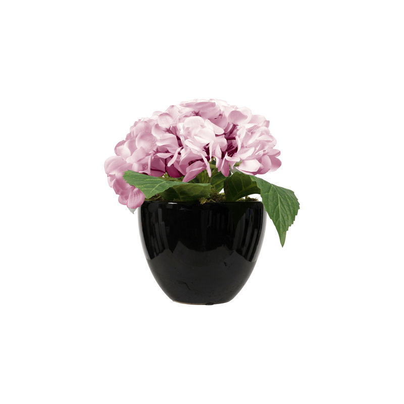 Pink Real-Touch Hydrangeas In Glossy Black Planter, Pink