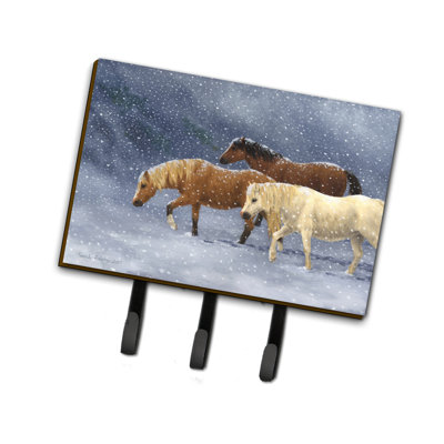 Metal Wall Organizer with Key Hooks