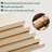 Galatia 6.3'' Low Profile Bed Frame with Wood Slats No Box Spring Needed-294283431