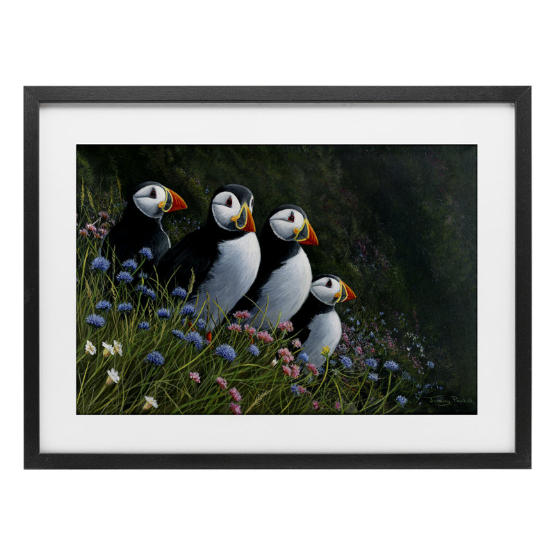«Puffins & Wild Flowers», reproduction encadrée sous verre, conception de Jeremy Paul, H 14 po x l 20 po, Cadre noir minuit