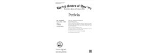 petlvia Logo