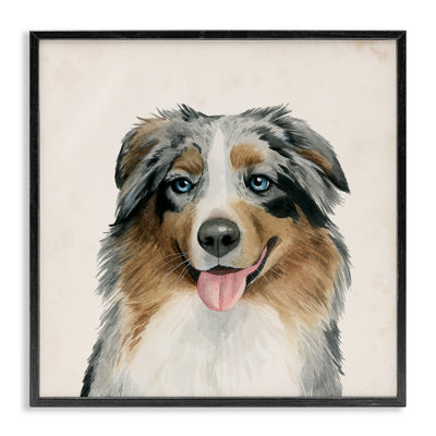 Charming Australian Shepard Dog Giclee Art by Grace Popp