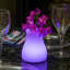 Olio LED Outdoor Table Lamp