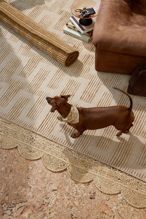 Jute Rugs
