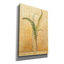 «Ferns In Glass Vase 2» par Danhui Nai, art mural sur toile-1110498330