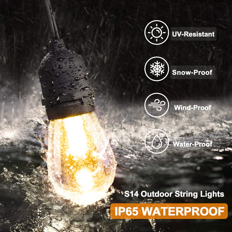 25' Black Solar Powered Outdoor String Lights with Clear Bulbs