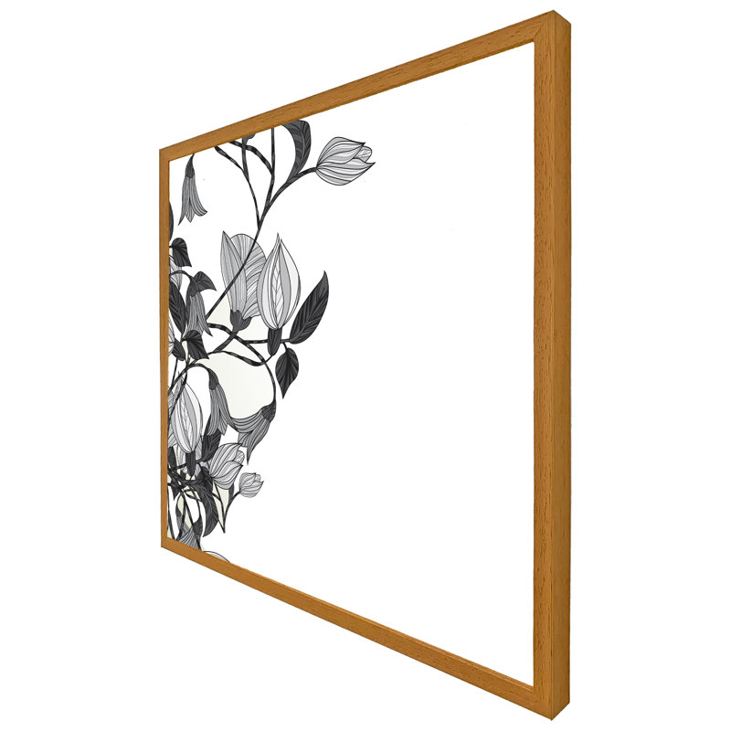 Lincolnia Black & White Flower Illustration - Single Picture Frame Print, Black Framed, 41cm H x 41cm W x 4cm D