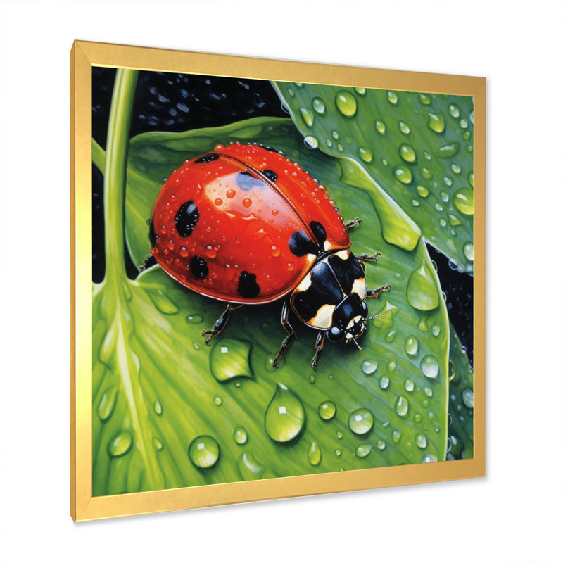 Coccinelles rouges et noires I, H 36 po x l 36 po x P 1,5 po, Cadre doré à une seule photo