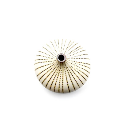 Vase de table Bargnare