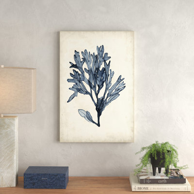 Seaweed Specimens II by Naomi McCavitt - Painting on Canvas