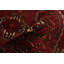 Hand-Knotted Kula Dark Red Wool Rug 3'7" X 6'6"