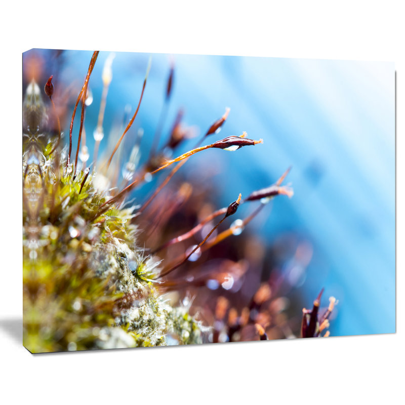 « abstract moss fleurs », impression, H 28 po x l 60 po x P 1,5 po, Toile tendue