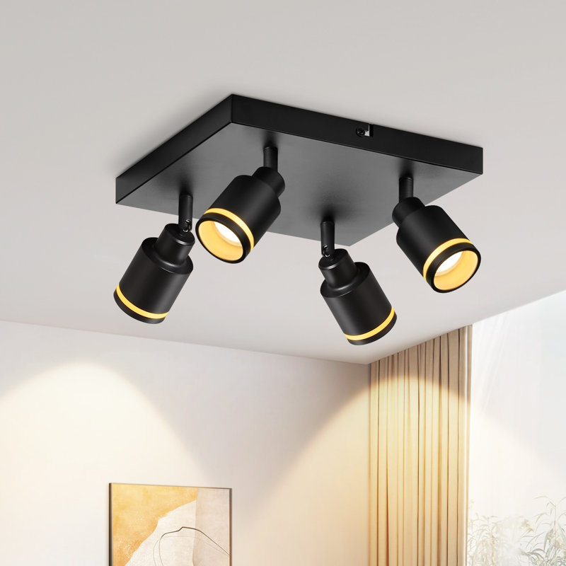 Stelica Spotlight