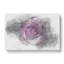 Purple Rose In The Shadows - Wrapped Canvas-56640451