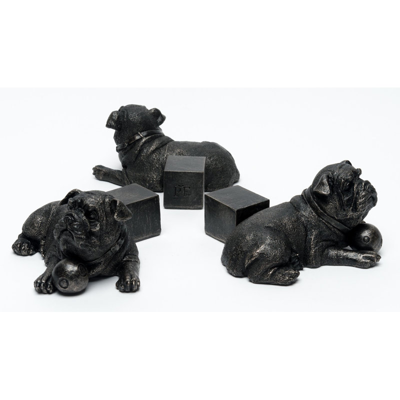 Pieds de jardinière de couleur bouledogue anglais au repos dans une boîte-cadeau