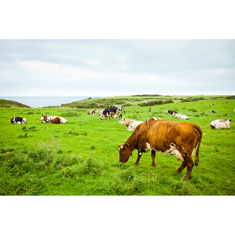 Cows on The Cliff 1 Piece Wrapped Canvas Wall Art, 81cm H x 122cm W x 3.8cm D