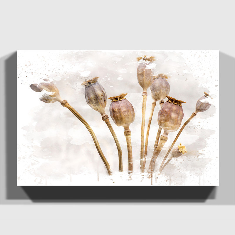 Flower Poppy - Wall Art, 40cm H x 60cm W, Wrapped Canvas