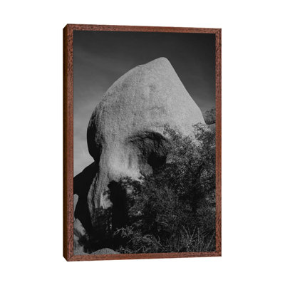 Skull Rock III by Bethany Young - Print on Canvas